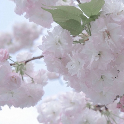 Furry插画氛围技巧福瑞交流群