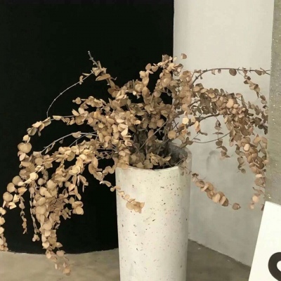 Furry绘画笔刷推荐福瑞交流群